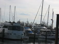 130 Waterfront, Washington Channel.JPG